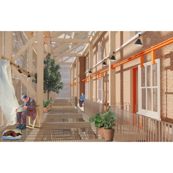 Isabella Hicks, Rapid Conservation